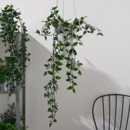 گل رونده مصنوعی ایکیا مدل FEJKA