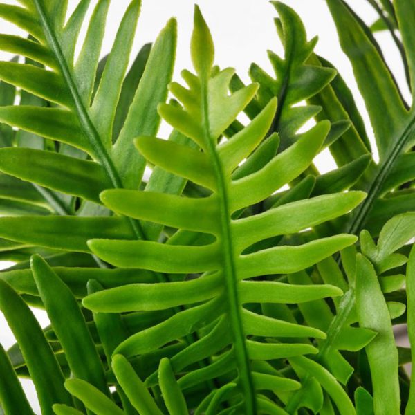 گل مصنوعی رومیزی ایکیا مدل FEJKA کد 50493349