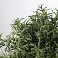گل مصنوعی رزماری ایکیا مدل FEJKA کد 90382113