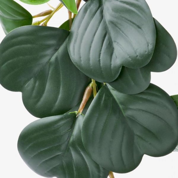 گل مصنوعی پپرومیا (گل قاشقی) ایکیا مدل FEJKA کد 00468446